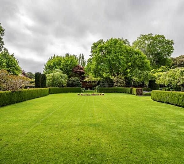 تصميم حدائق قطر