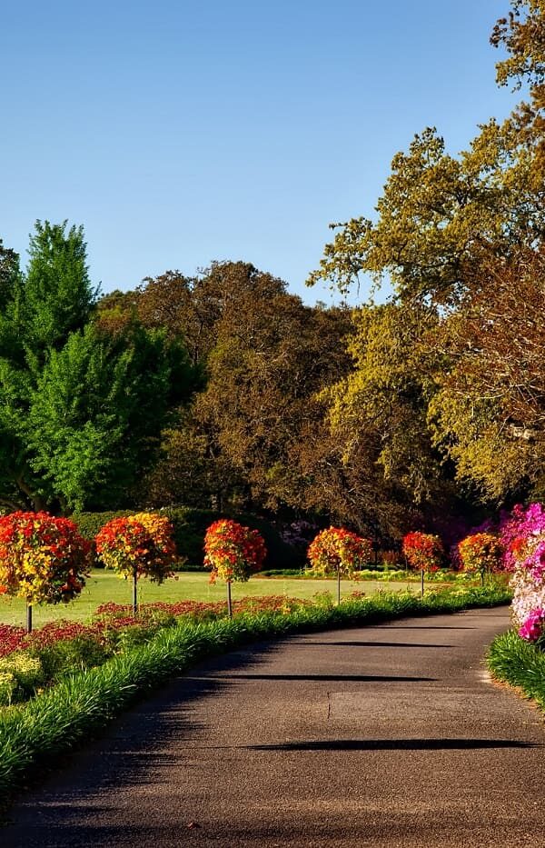 تنسيق حدائق فلل