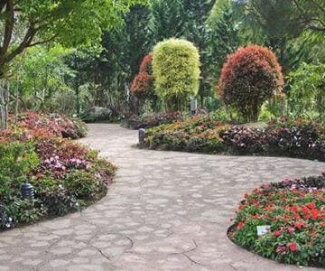 تنسيق حدائق قطر