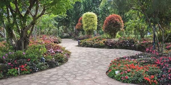 تنسيق حدائق قطر