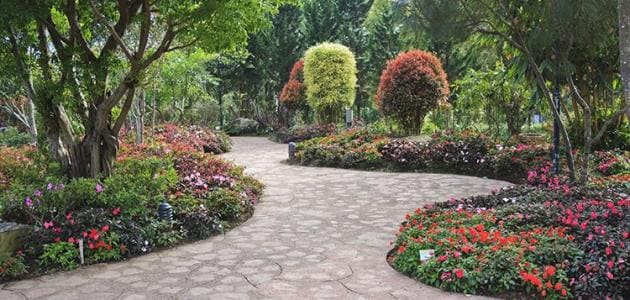 تنسيق حدائق قطر