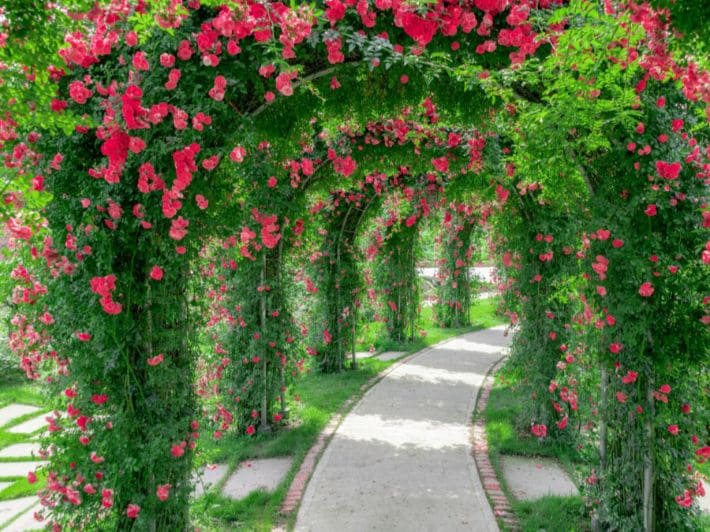 مميزات شركة تصميم حدائق منزلية